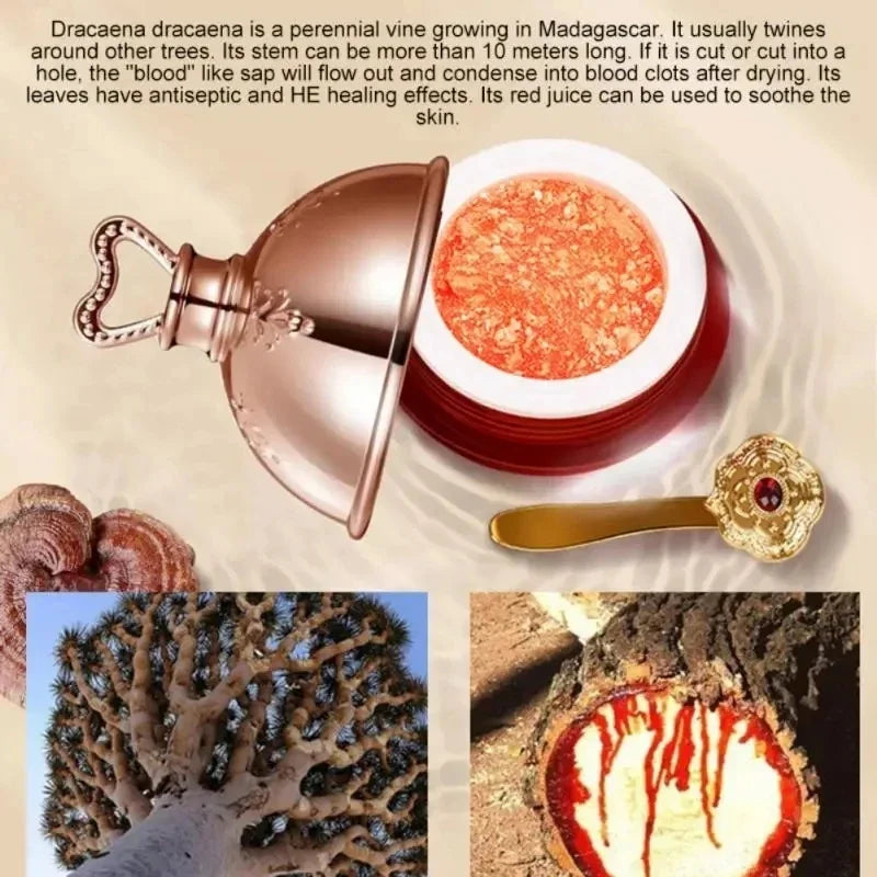 Dragon’s Blood Face Cream – Retinol & Placenta Essence for Brightening & Firming