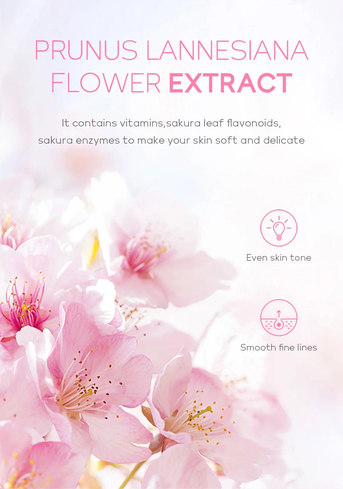 Cherry Blossom Peeling Gel – 60g Facial Exfoliator & Moisturizing Cleanser
