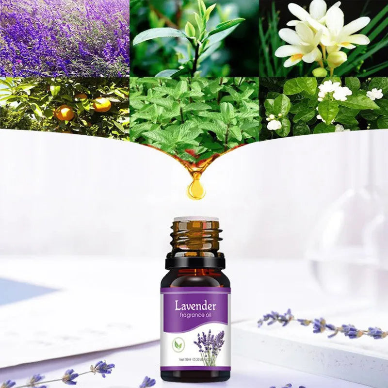 10ml Natural Essential Oil – Air Freshener Refill for Diffuser & Humidifier